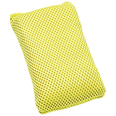 Bug scrub sponge